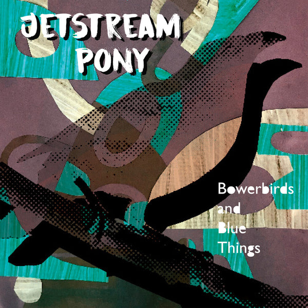 the album cover for Jetstream Pony - Bowerbirds And Blue Things