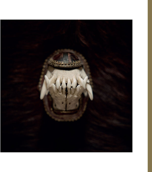 the album cover for Amenra - De Toorn [LP EP]