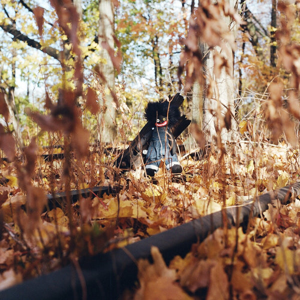 the album cover for Billy Woods - Golliwog