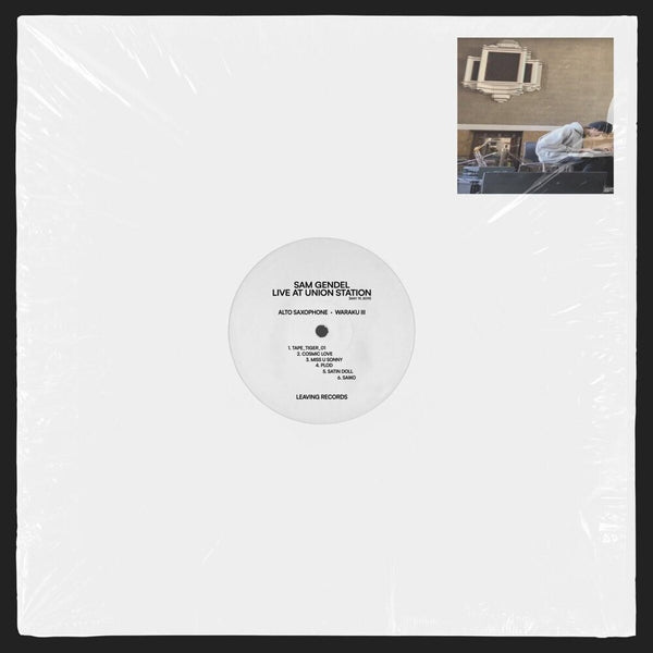 the album cover for Sam Gendel - Live At Union Station [White Eco-Mix LP] 