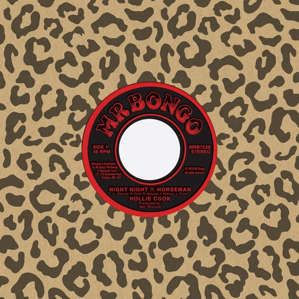 the album cover for Hollie Cook  / Horsemen - Night Night (Blk)