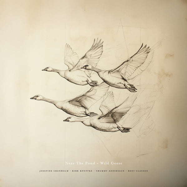 the album cover for Near The Pond - Wild Geese