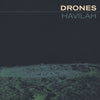 the album cover for Drones - Havilah