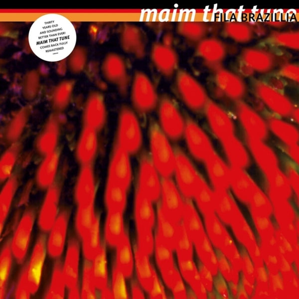 the album cover for Fila Brazillia - Maim That Tune