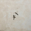 the album cover for Lydia - Illuminate (She Saved Me) - Milky Clear [Colored Vinyl]