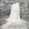 the album cover for Joseph Decosimo - Fiery Gizzard