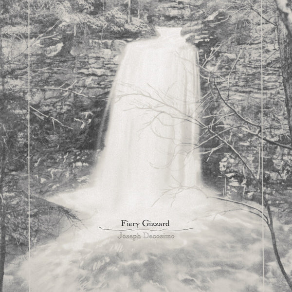 the album cover for Joseph Decosimo - Fiery Gizzard