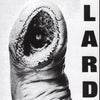 the album cover for Lard - Power Of Lard - White
