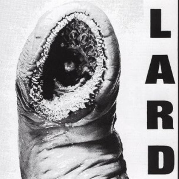 the album cover for Lard - Power Of Lard - White
