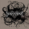 the album cover for Borknagar - Origin