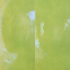 the album cover for Verses Gt - Verses Gt [Clear Vinyl] (Emb) (Gate)