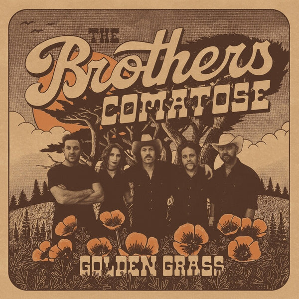 the album cover for Brothers Comatose - Golden Grass - Splattered Orange & Blue [Colored Vinyl]