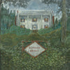 the album cover for Weirs - Diamond Grove