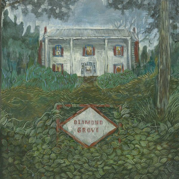 the album cover for Weirs - Diamond Grove