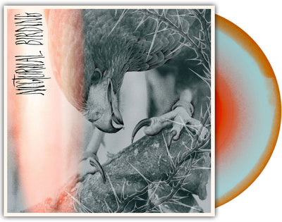 the album cover for Author &amp; Punisher - Nocturnal Birding [Custom Merge LP]