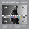 the album cover for Ian Anderson - Walk Into Light
