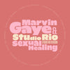 the album cover for Marvin Gaye  / Studio Rio - Sexual Healing