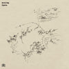 the album cover for Eyvind Kang - Riparian