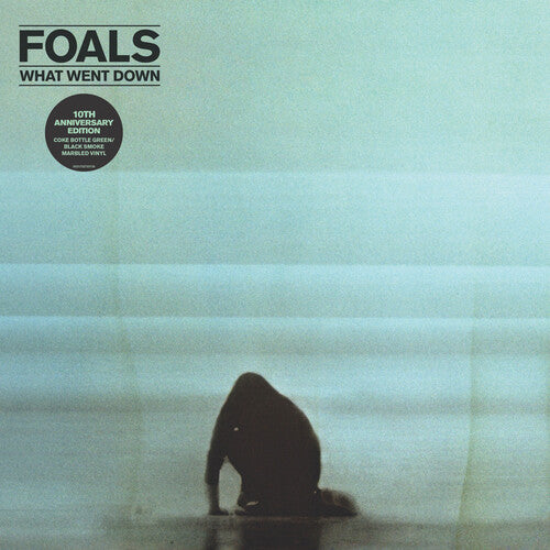 Foals - What Went Down (Anniversary Edition) - Pale Blue Dot Records