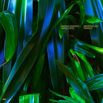 the album cover for Anushka Chkheidze/ Lippok,Robert - Uncontrollable Thoughts