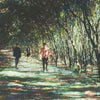 the album cover for Nagisa Ni Te - Taiyou No Sekai (The True Sun)