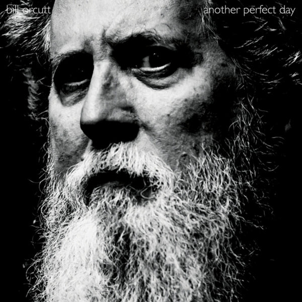 the album cover for Bill Orcutt - Another Perfect Day
