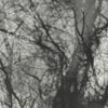 the album cover for Grouper - Way Their Crept [Reissue]