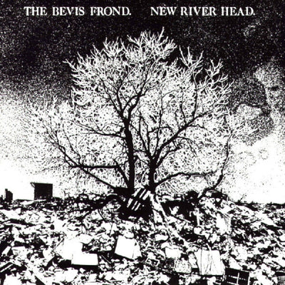 the album cover for Bevis Frond - New River Head