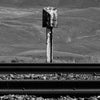 the album cover for Craven Faults - Sidings [Indie Exclusive Freight Bauxite]