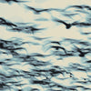 the album cover for Bellbird - Call