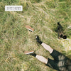Brutalligators - Still Here [Indie Exclusive Green Marble] - Pale Blue Dot Records