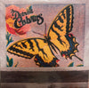 the album cover for Detroit Cobras - Right Now