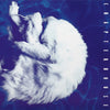 the album cover for Chapterhouse - Whirlpool [180 Gram Black/White Marble]