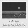 the album cover for Andy Boay - You Took That Walk For The Two Of Us