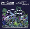 the album cover for Jeff Goldblum & The Mildred Snitzer Orchestra - Night Blooms