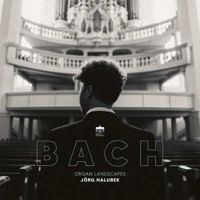 the album cover for Jorg Halubek - Organ Landscapes