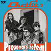 the album cover for Daniel Romano - Preservers Of The Pearl [Indie Exclusive Yellow]