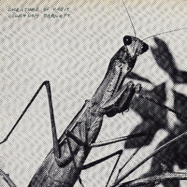 the album cover for Courtney Barnett - Creature of Habit