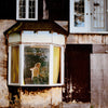 the album cover for Les Louanges - Alouette! - Citrus Ecomix [Colored Vinyl] (Gate)