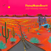 the album cover for Flying Mojito Bros - Just Passing Through