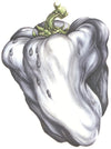 the album cover for Ween - White Pepper [Colored Vinyl] (Grn) [Limited Edition]