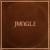the album cover for Jungle - Sunshine [Black]