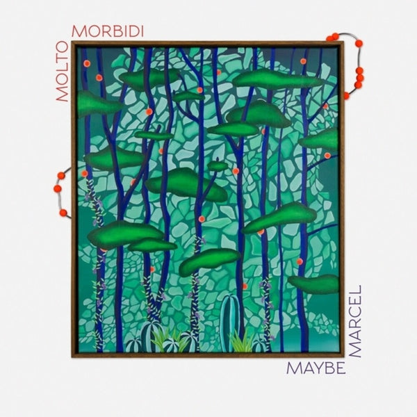 the album cover for Molto Morbidi - Maybe Marcel