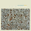 the album cover for Oren Ambarchi - Hubris (10th Anniversary Remaster) (Aniv) [Remastered]