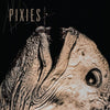 Pixies - Complete B Sides: 1988-97 [Indie Exclusive Clear] - Pale Blue Dot Records