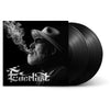 the album cover for Everlast - Embers to Ashes [Black]