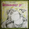 the album cover for Dinosaur Jr - You're Living All Over Me (Revinyl Edition) [Colored Vinyl]