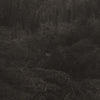 the album cover for Lesley Mok - Transient [Download Included]