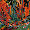 the album cover for Akusmi - Terra Incognita (color Vinyl)