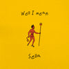 the album cover for Sella - Well I Mean